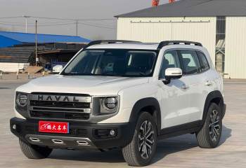 哈弗 大狗 2024款 1.5T DCT边牧版