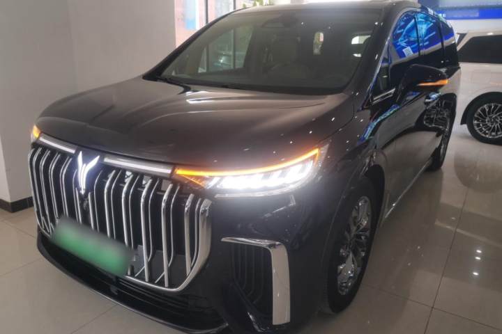 岚图汽车 岚图梦想家 低碳版 梦+智享包