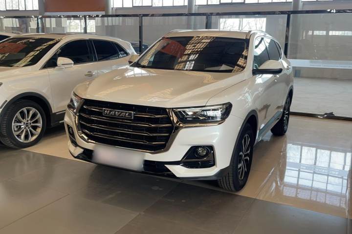 哈弗 H6 国潮版 1.5T 自动冠军版