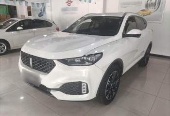 魏牌 VV6 2020款 2.0T 两驱智护+