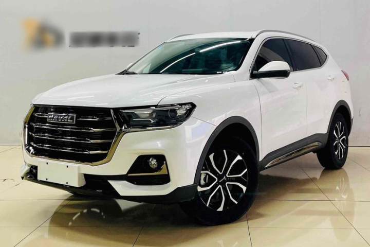 哈弗 H6 国潮版 1.5T 自动都市版