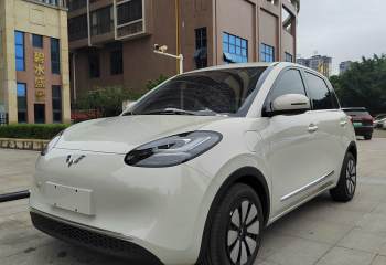 五菱汽车 五菱缤果 2024款 333km 悦享款