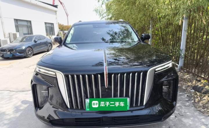 红旗E-HS9 2021款 460km 旗享版 六座