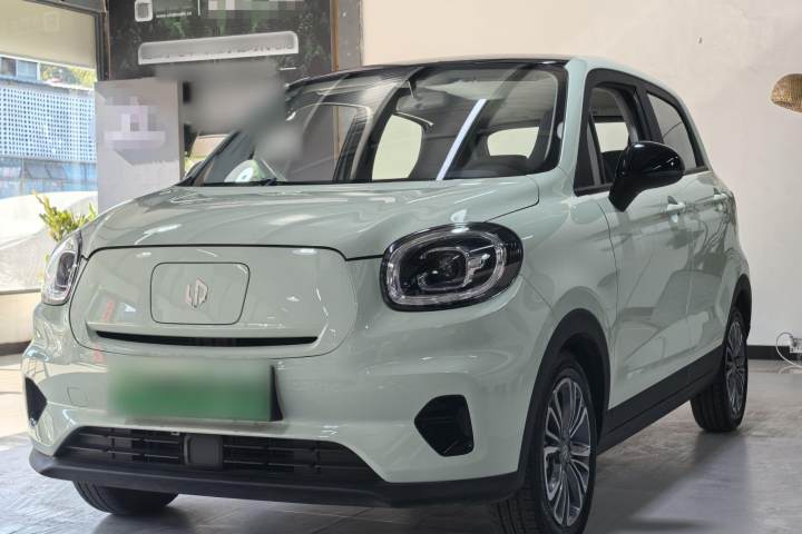 零跑汽车 零跑T03 403舒享版