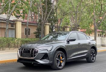 奥迪e-tron(进口) 2021款 Sportback 55 quattro 豪华型