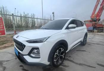 思皓 X8 2021款 300T DCT领先智联版 7座
