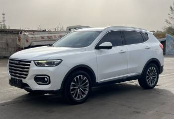哈弗H6 2020款 1.5GDIT 自动铂金冠军版