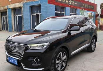 哈弗 H6 2021款 1.5T 自动冠军版