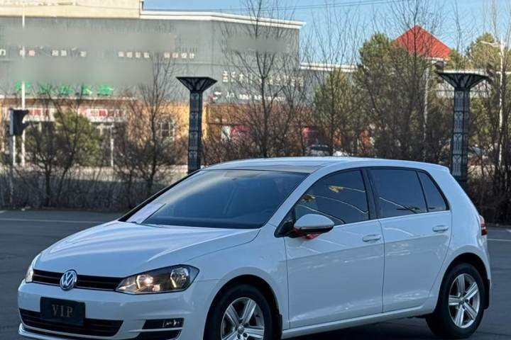 大众 高尔夫 230TSI 自动舒适型