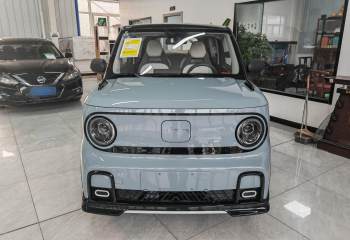 吉利汽车 2025款 210km 熊猫卡丁