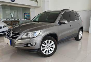 大众 Tiguan 2009款 2.0TSI 豪华版