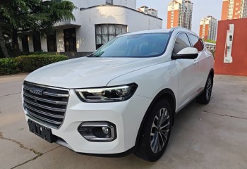 哈弗H6 2020款 2.0GDIT 自动铂金豪华版