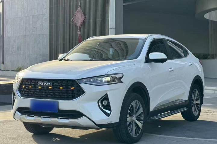 哈弗 F7x 2.0T 两驱极智潮玩版