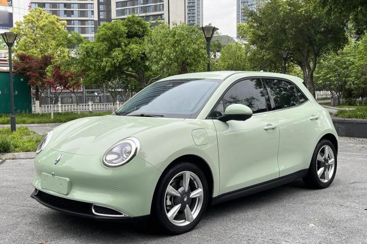 欧拉 好猫 401km标准续航 尊荣型 磷酸铁锂