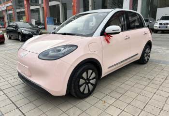 五菱汽车 五菱缤果 2023款 333km 灵犀互联+款