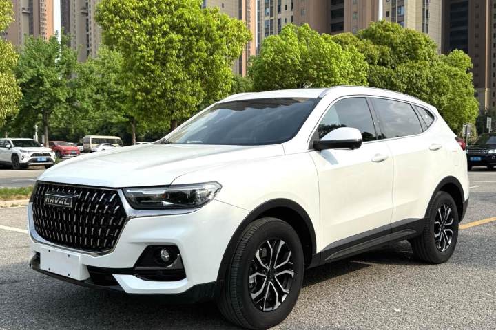 哈弗 H6 国潮版 1.5T 自动冠军版