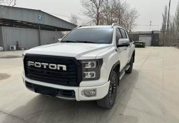 福田 大将军EV 2022款 智蓝精英版多用途乘用车