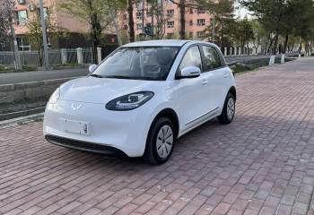 五菱汽车 五菱缤果 2024款 203km 轻享款
