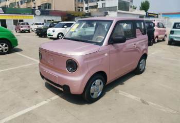 吉利汽车 2024款 熊猫mini 200km 耐力熊