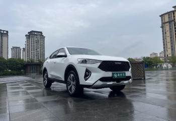 哈弗 F7x 2019款 1.5T 两驱极智潮玩版