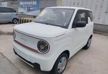 吉利汽车 2024款 熊猫mini 200km 耐力熊