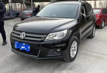 大众 途观 2010款 2.0TSI 自动四驱旗舰导航版
