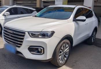 哈弗H6 2020款 2.0GDIT 自动铂金冠军版