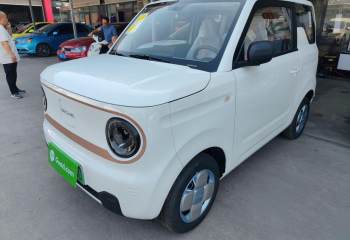吉利汽车 2024款 熊猫mini 200km 耐力熊