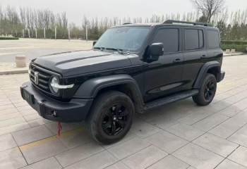 坦克 300 2024款 2.0T 挑战者