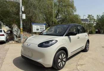 五菱汽车 五菱缤果 2024款 333km 悦享款