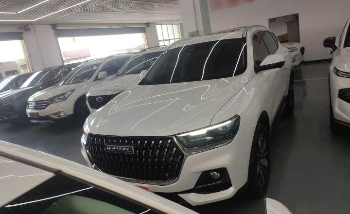 哈弗H6 2023款 国潮版 1.5T 自动冠军版