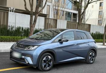 比亚迪 海豚 2024款 荣耀版 420km 时尚版