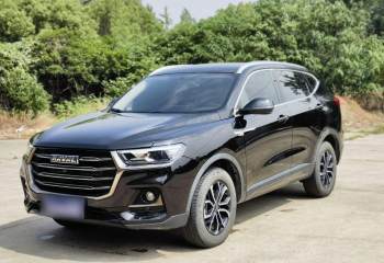 哈弗H6 2021款 国潮版 1.5T 自动都市版