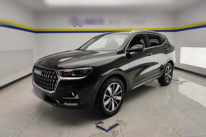 哈弗 H6 国潮版 1.5T 自动冠军版