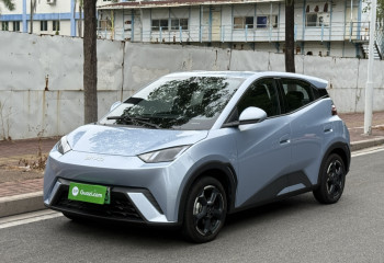 比亚迪 海鸥 2024款 荣耀版 405km 飞翔版