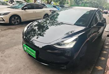 特斯拉 Model 3 2019款 标准续航后驱升级版