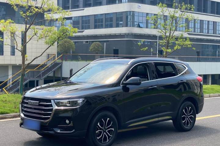 哈弗 H6 国潮版 1.5T 自动都市版