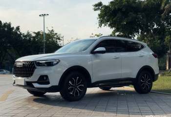 哈弗 H6 2023款 国潮版 1.5T 自动都市版