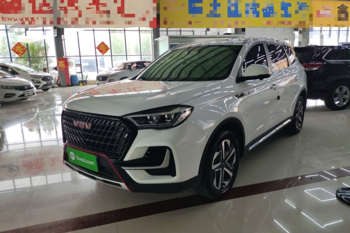 中国重汽VGV VGV U75PLUS 2.0TGDI 奇趣山地版 7座