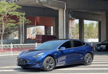 特斯拉 Model 3 2019款 标准续航后驱升级版