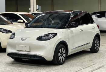 五菱汽车 五菱缤果 2024款 333km 灵犀互联款