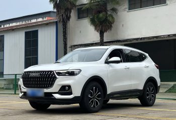 哈弗H6 2023款 国潮版 1.5T 自动都市版