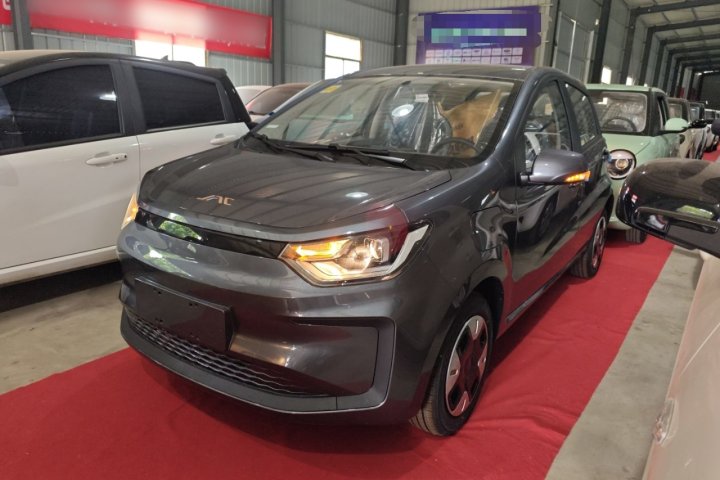 江淮钇为 钇为花仙子 挚爱版 301km Lite
