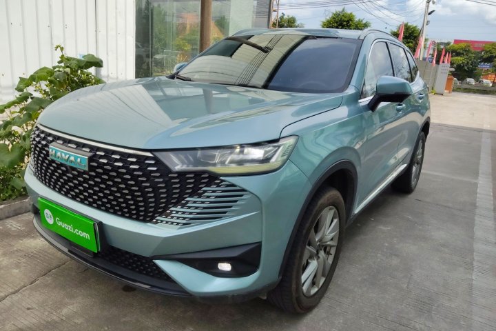 哈弗 H6新能源 DHT-PHEV 110KM 悦行版