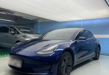 特斯拉 Model 3 2019款 标准续航后驱升级版