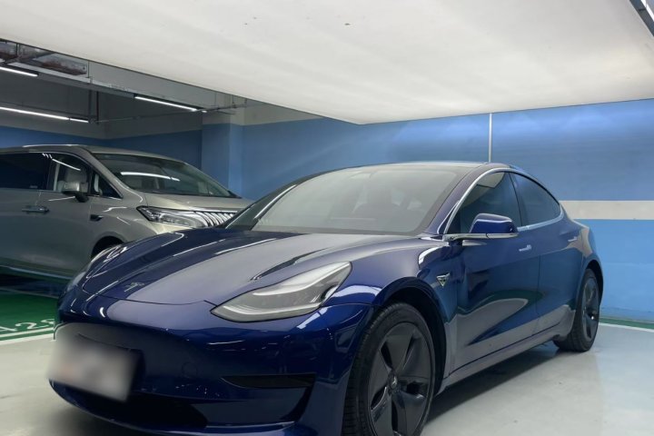 特斯拉 Model 3 2019款 标准续航后驱升级版