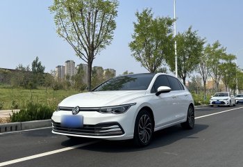 大众 高尔夫 2023款 280TSI DSG Pro