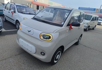 五菱汽车 宏光MINIEV 2024款 第三代 215km 青春版