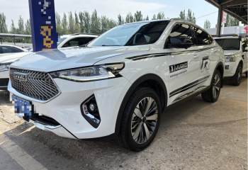 哈弗 F7x 2019款 1.5T 两驱极智潮玩版