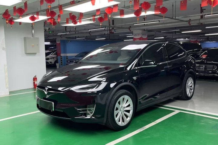 特斯拉 Model X 2020款 长续航升级版